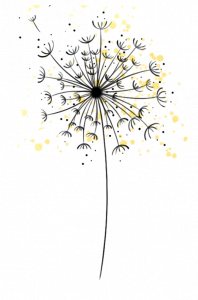 pusteblume