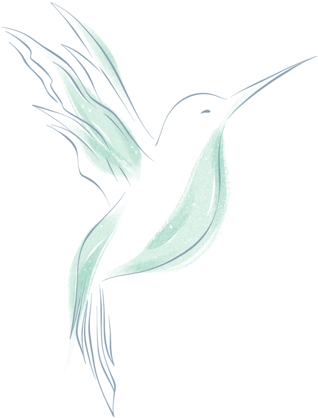 colibrì colibrì