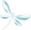 libellula libellula