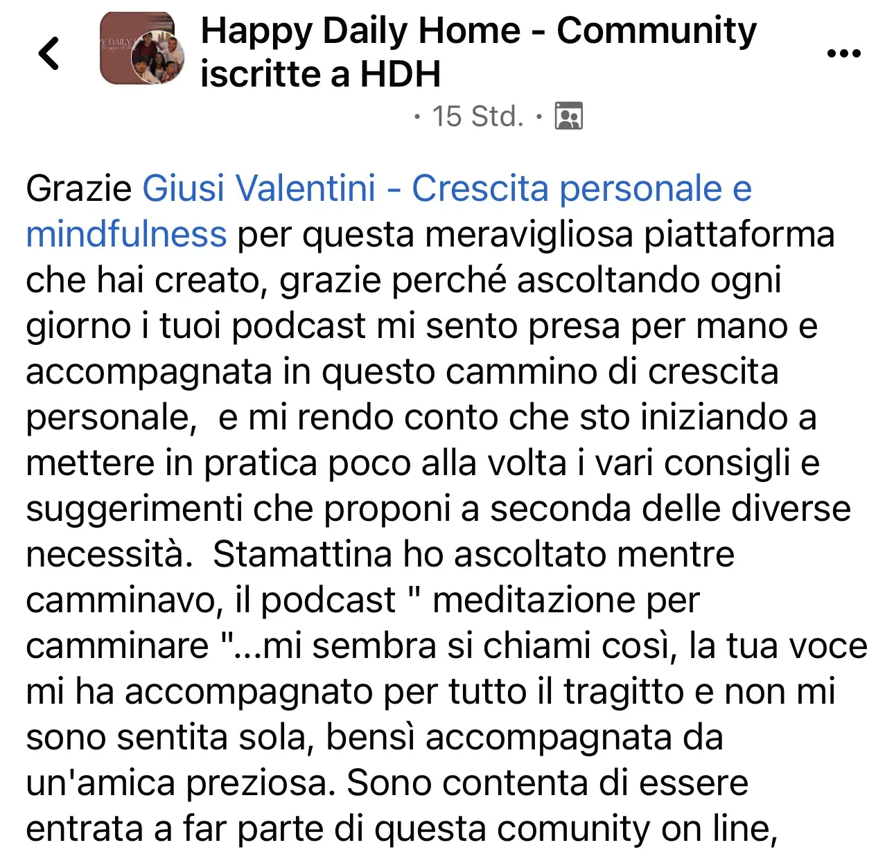 revisione1
